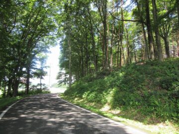 前面道路南側から撮影（2025年7月）