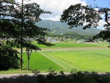 物件西側に見える田とスキー場（2025年7月）