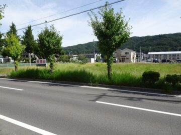 西側道路から撮影(2025年9月) 西側道路から撮影(2025年9月)