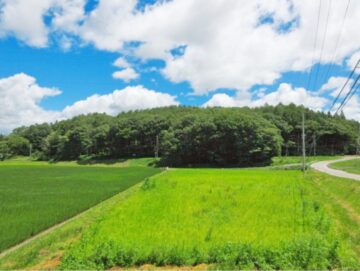 南西側から物件を撮影(2026年7月) 南西側から物件を撮影(2026年7月)