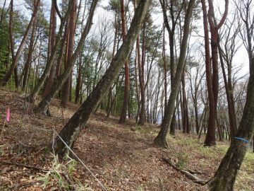 南方向を撮影(2026年4月）