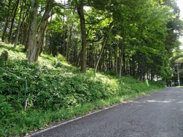 前面道路北西側から撮影(2025年9月) 前面道路北西側から撮影(2025年9月)