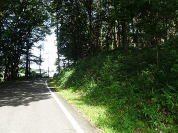 前面道路南側から撮影（2025年9月）