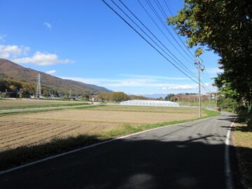 前面道路から北方向を撮影(2025年11月) 前面道路から北方向を撮影(2025年11月)