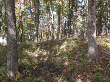 前面道路から東方向を撮影(2025年11月) 前面道路から東方向を撮影(2025年11月)