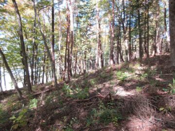 物件北方向を撮影(2025年11月) 物件北方向を撮影(2025年11月)