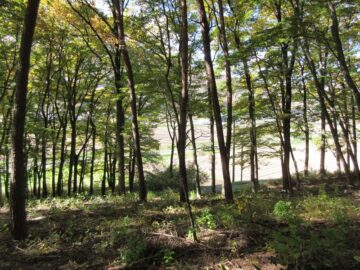 物件西方向を撮影(2025年11月) 物件西方向を撮影(2025年11月)