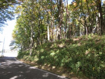 前面道路から北方向を撮影(2025年11月) 前面道路から北方向を撮影(2025年11月)
