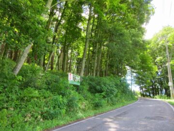 前面道路北西側から撮影(2026年7月) 前面道路北西側から撮影(2026年7月)