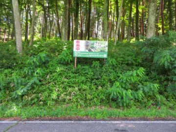 前面道路から東方向を撮影(2026年7月) 前面道路から東方向を撮影(2026年7月)