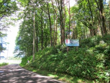 前面道路南側から撮影(2026年7月) 前面道路南側から撮影(2026年7月)