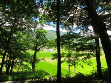 物件から南西方向を撮影(2026年7月) 物件から南西方向を撮影(2026年7月)