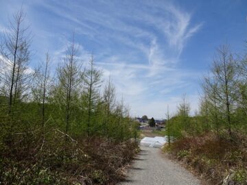 東側道路から北方向を撮影(2026年4月）