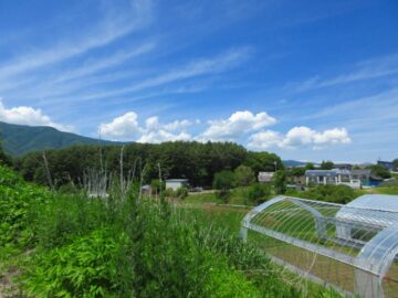 物件北側から北西方向を撮影(2026年6月）