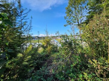 現地の様子 現地の様子