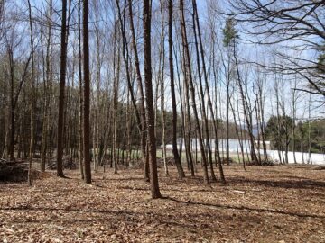 物件から西方向を撮影(2026年4月）