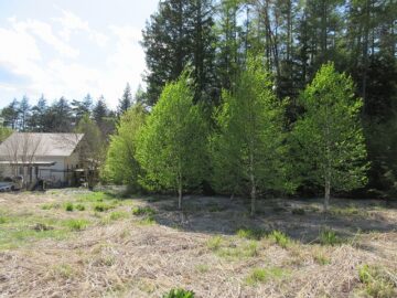 物件西方向を撮影 物件西方向を撮影