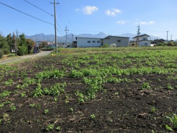 物件から東方向八ヶ岳の眺望(2025年10月）