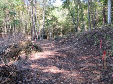 前面道路から撮影(2025年10月) 前面道路から撮影(2025年10月)