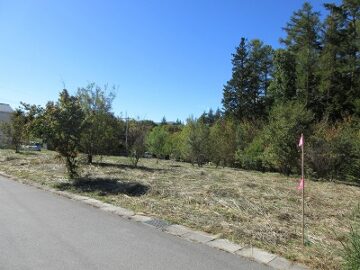 前面道路北東方向から撮影(2025年10月) 前面道路北東方向から撮影(2025年10月)