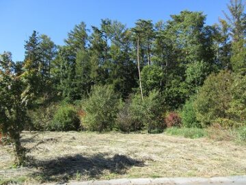 前面道路東側から撮影(2025年10月) 前面道路東側から撮影(2025年10月)