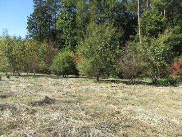 物件西方向を撮影(2025年10月) 物件西方向を撮影(2025年10月)