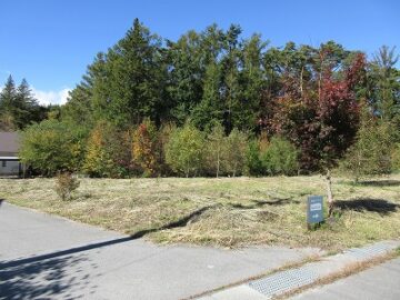 南側道路東側から撮影(2025年10月) 南側道路東側から撮影(2025年10月)