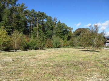 物件北方向を撮影(2025年10月) 物件北方向を撮影(2025年10月)