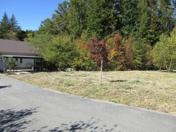 南側道路南東側から撮影(2025年10月）