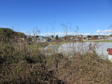 物件北側から北方向を撮影(2025年11月）