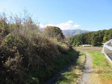 北側道路西方向に見えるスキー場(2025年11月）