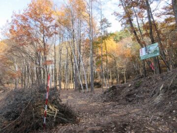 南西側道路から撮影(2025年11月）