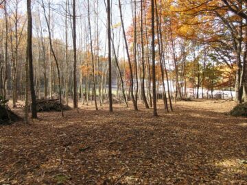 物件から西方向を撮影(2025年11月）