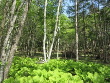 物件東方向を撮影(2026年5月) 物件東方向を撮影(2026年5月)