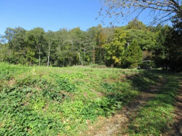 前面道路から撮影(2025年10月) 前面道路から撮影(2025年10月)