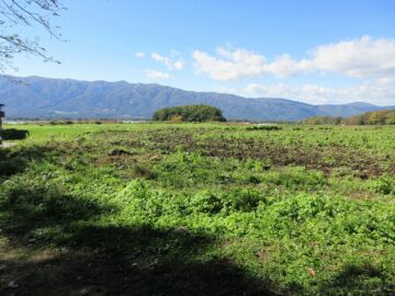 物件から西方向を撮影(2025年10月) 物件から西方向を撮影(2025年10月)