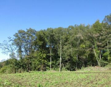 物件北東方向を撮影(2025年10月）