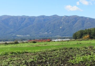 物件南西方向を撮影(2025年10月) 物件南西方向を撮影(2025年10月)