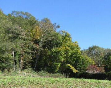 西側から物件を撮影(2025年10月) 西側から物件を撮影(2025年10月)