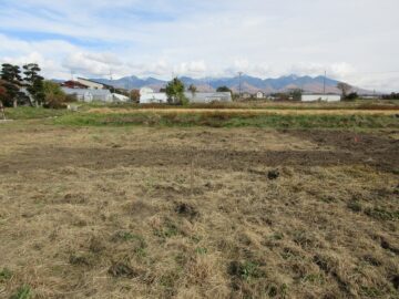 物件東方向を撮影(2025年11月）