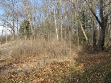 前面道路から撮影(2025年12月）