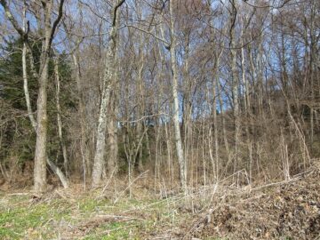 物件から北方向を撮影(2025年12月）