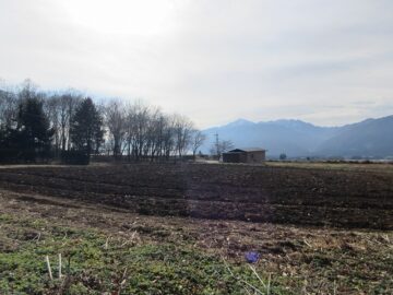 物件南方向を撮影(2025年12月）