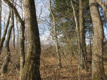 物件西方向を撮影(2025年12月）