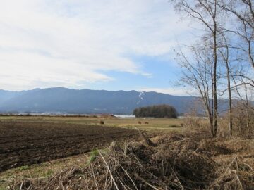 物件から南西方向の眺望(2025年12月）