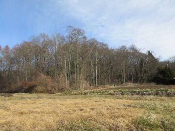 南西側から物件を撮影(2025年12月）