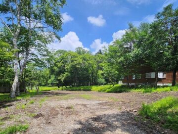 現地の様子 現地の様子