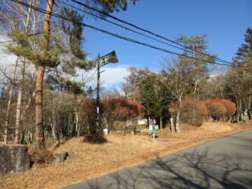 前面道路南西側から撮影(2025年12月）