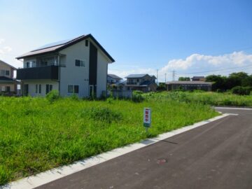前面道路南側から撮影（2026年7月）
