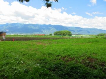 前面道路から南西方向を撮影（2026年7月）